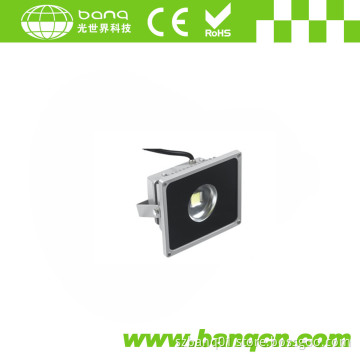 High Power 10W LED Flood Light (BQ-FL115J-10W)